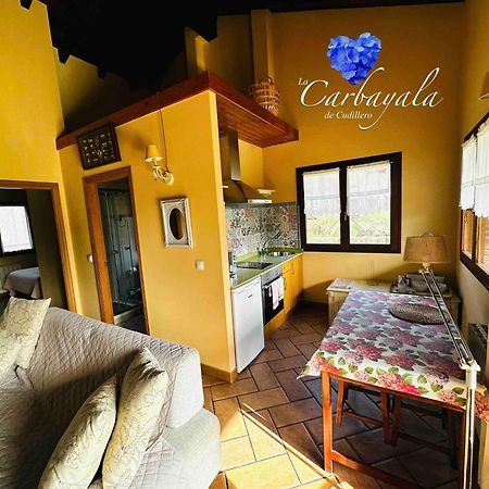 Apartamentos Rurales La Carbayala Oviñana Extérieur photo